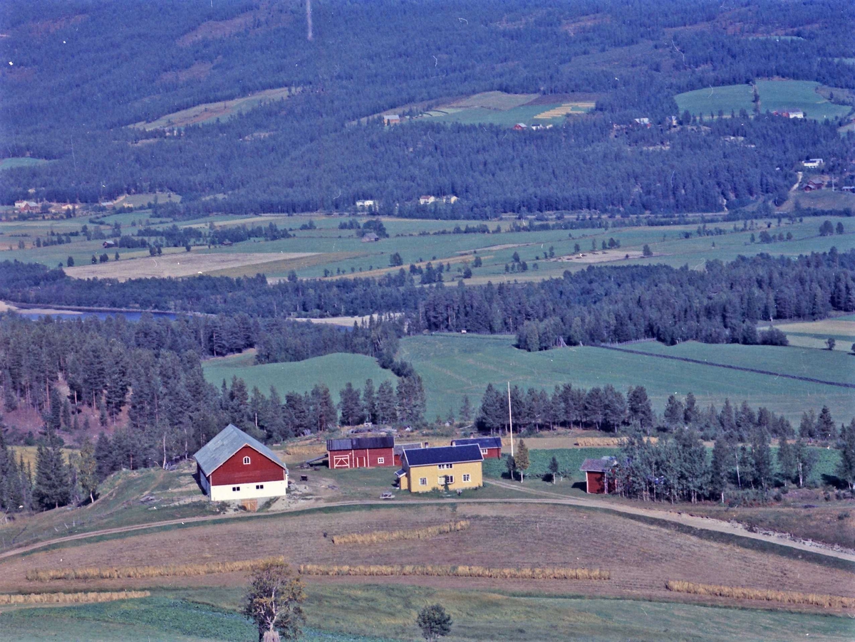 Widerøes Flyveselskap A/S, Gårdsbruk (Samuelshaugen).