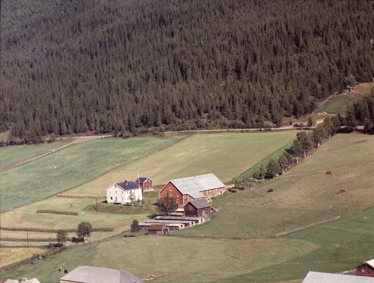 Widerøes Flyveselskap A/S, Gårdsbruk (Brandvollslykkja).