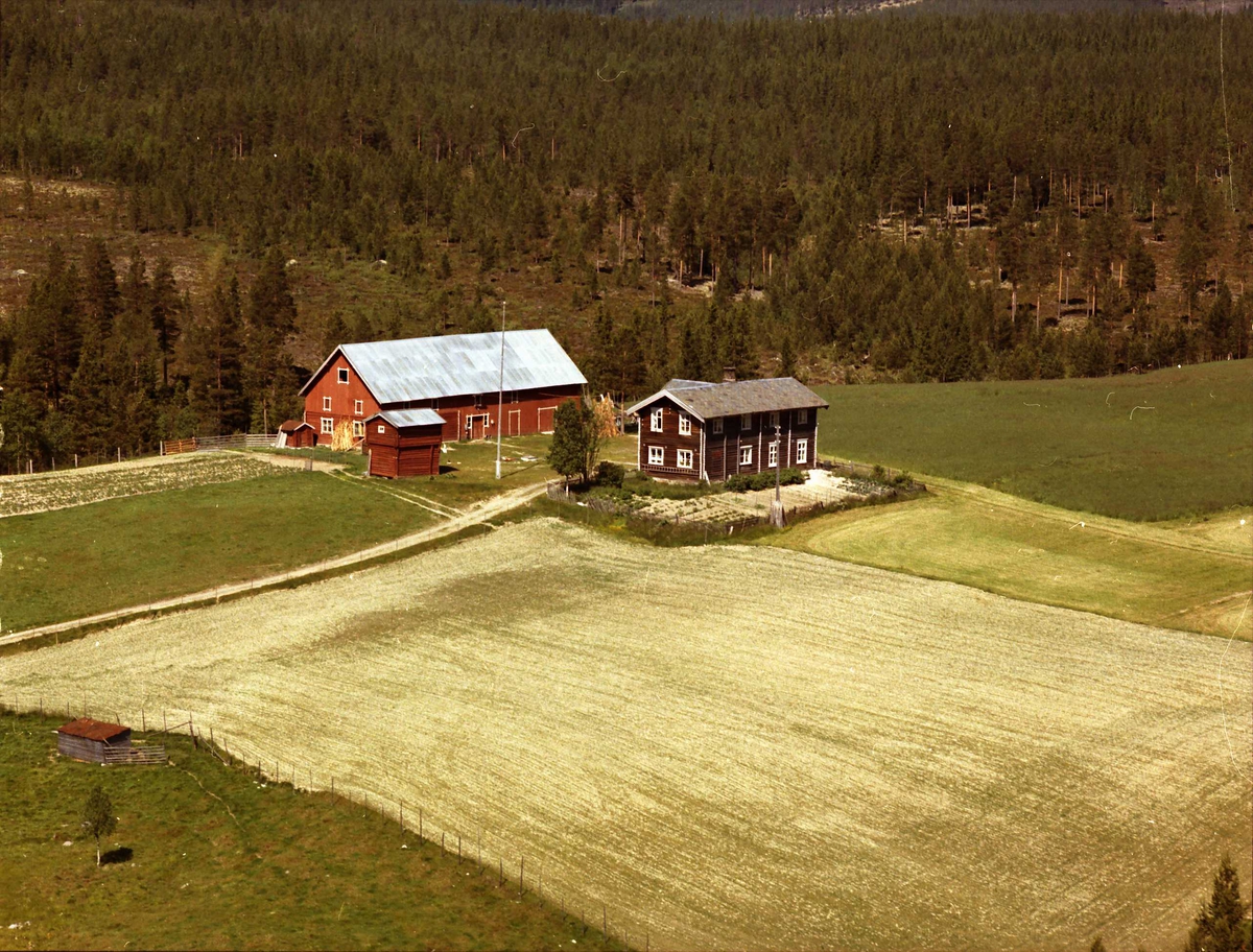 Widerøes Flyveselskap A/S, Gårdsbruk.