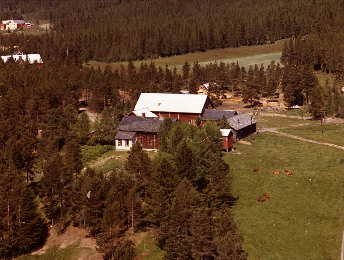 Widerøes Flyveselskap A/S, Gårdsbruk (Nesteby Øvre).