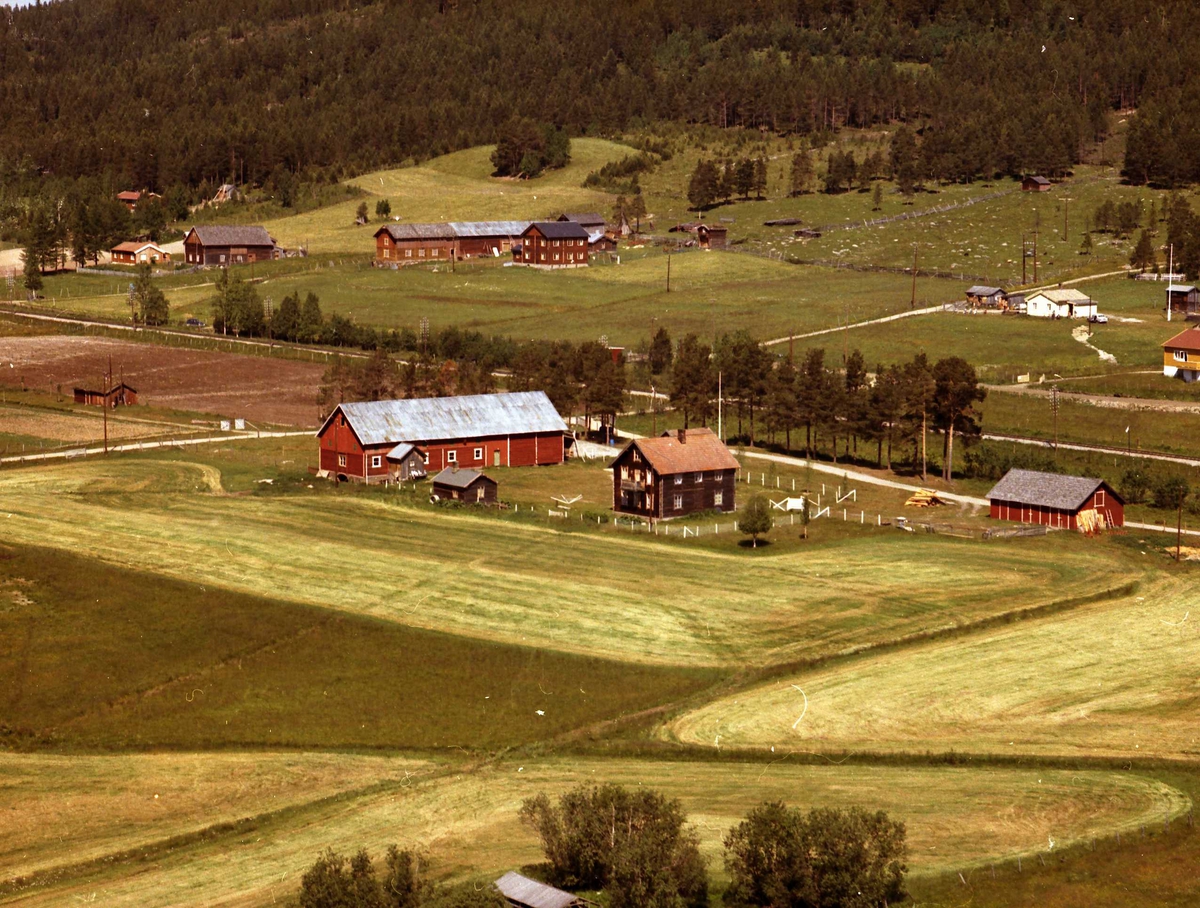 Widerøes Flyveselskap A/S, Gårdsbruk (Nestebyjordet)