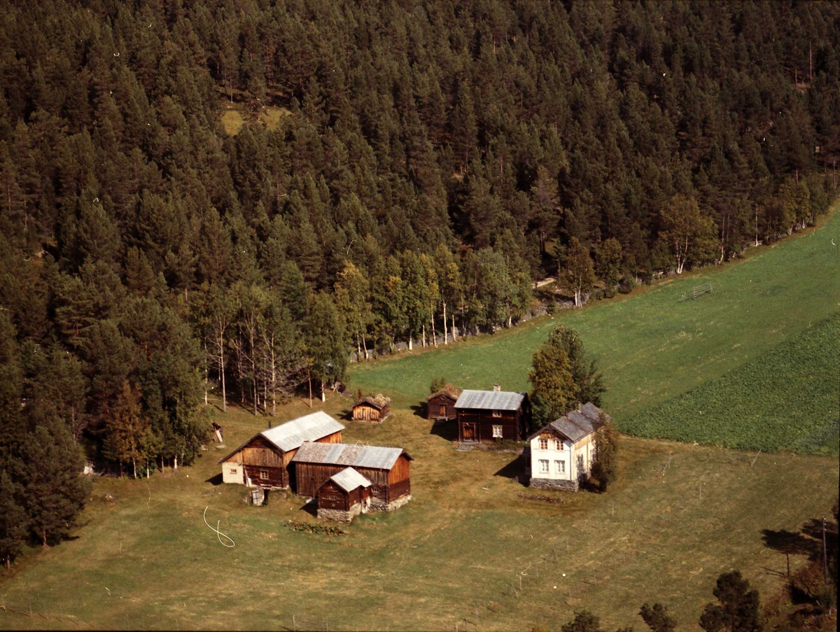 Widerøes Flyveselskap A/S, Gårdbruk.