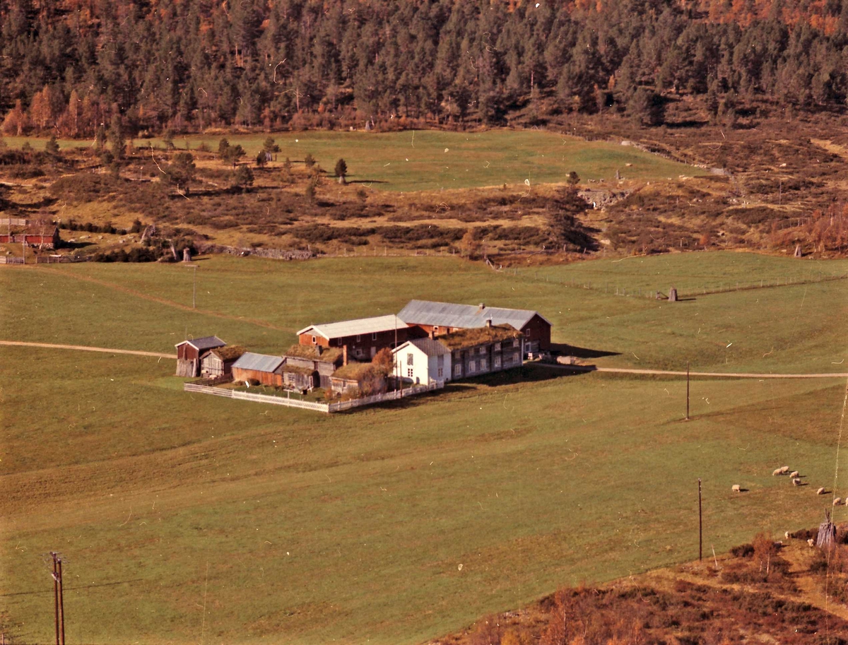 Widerøes Flyveselskap A/S, Gårdsbruk (Ryen vestre).