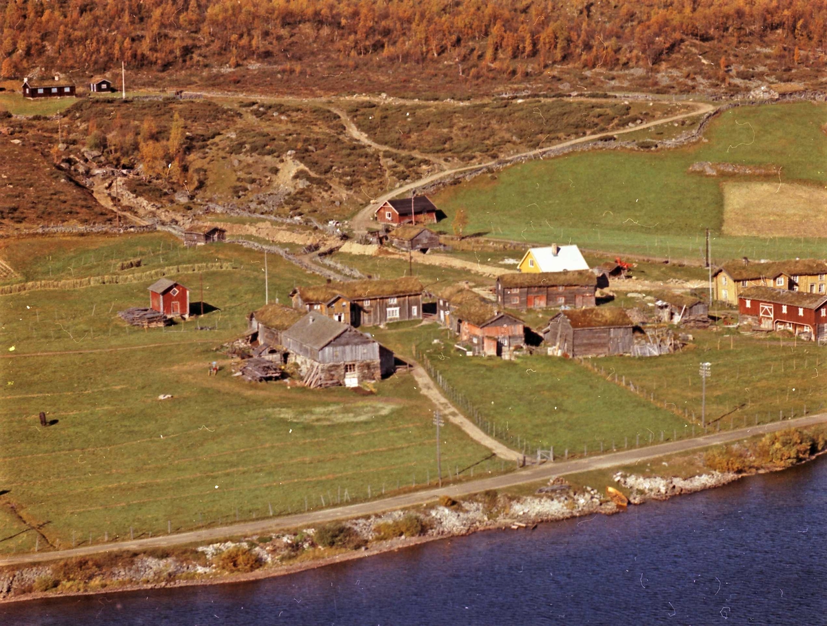 Widerøes Flyveselskap A/S, Gårdsbruk.