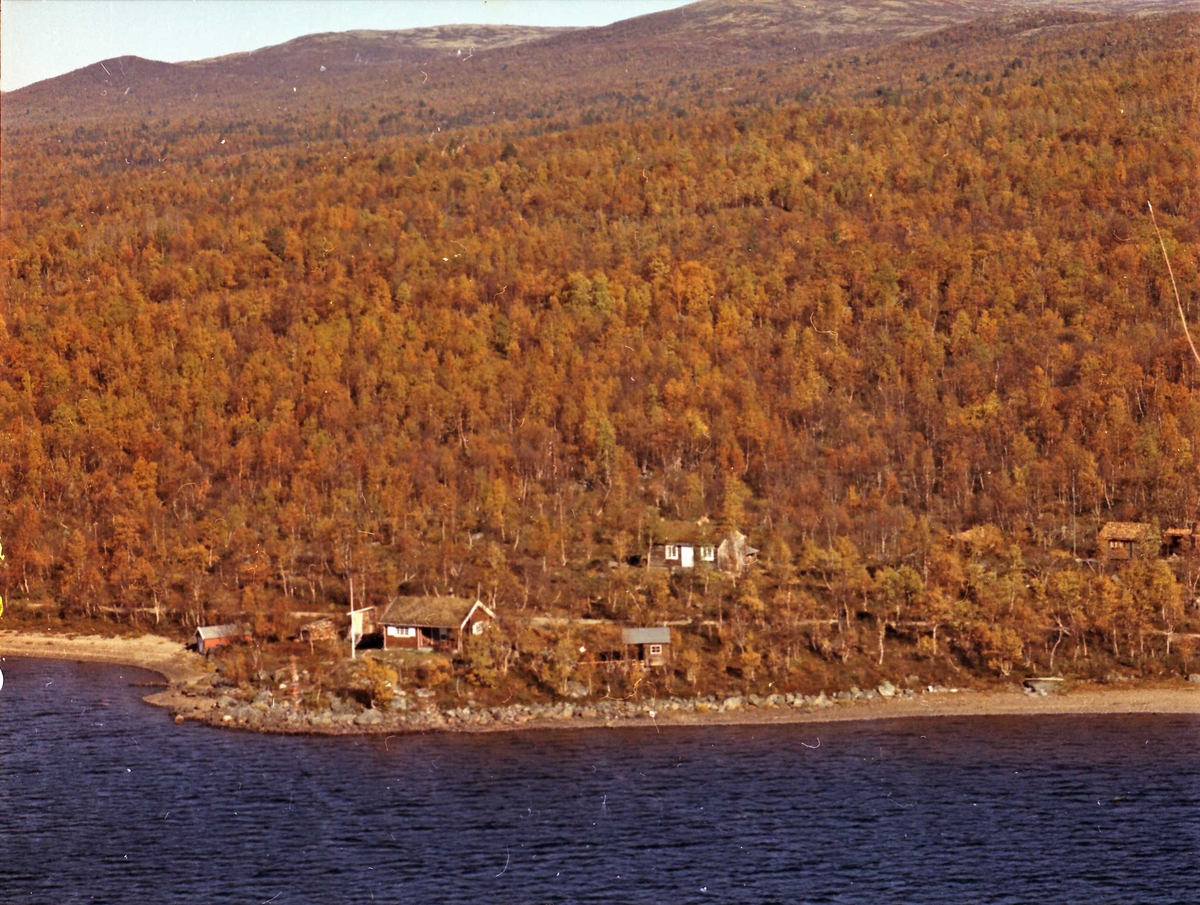 Widerøes Flyveselskap A/S, Hytter.