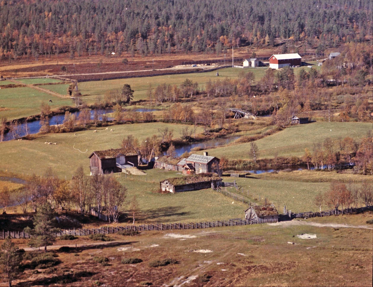 Widerøes Flyveselskap A/S, Gårdsbruk.