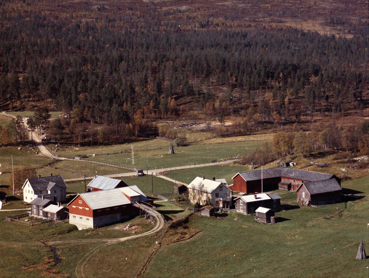 Widerøes Flyveselskap A/S, Gårdsbruk (Sæthergårdene).