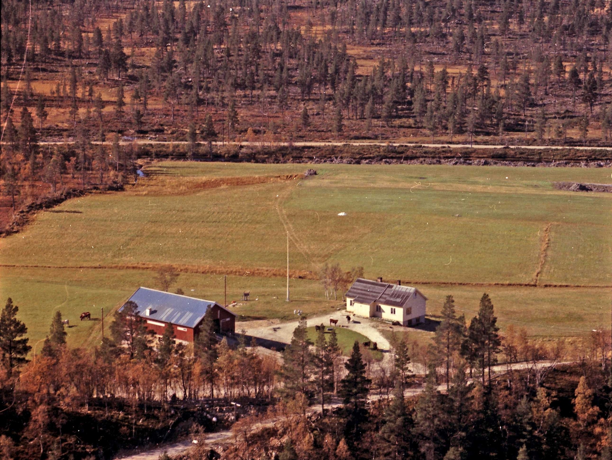 Widerøes Flyveselskap A/S, Gårdsbruk.