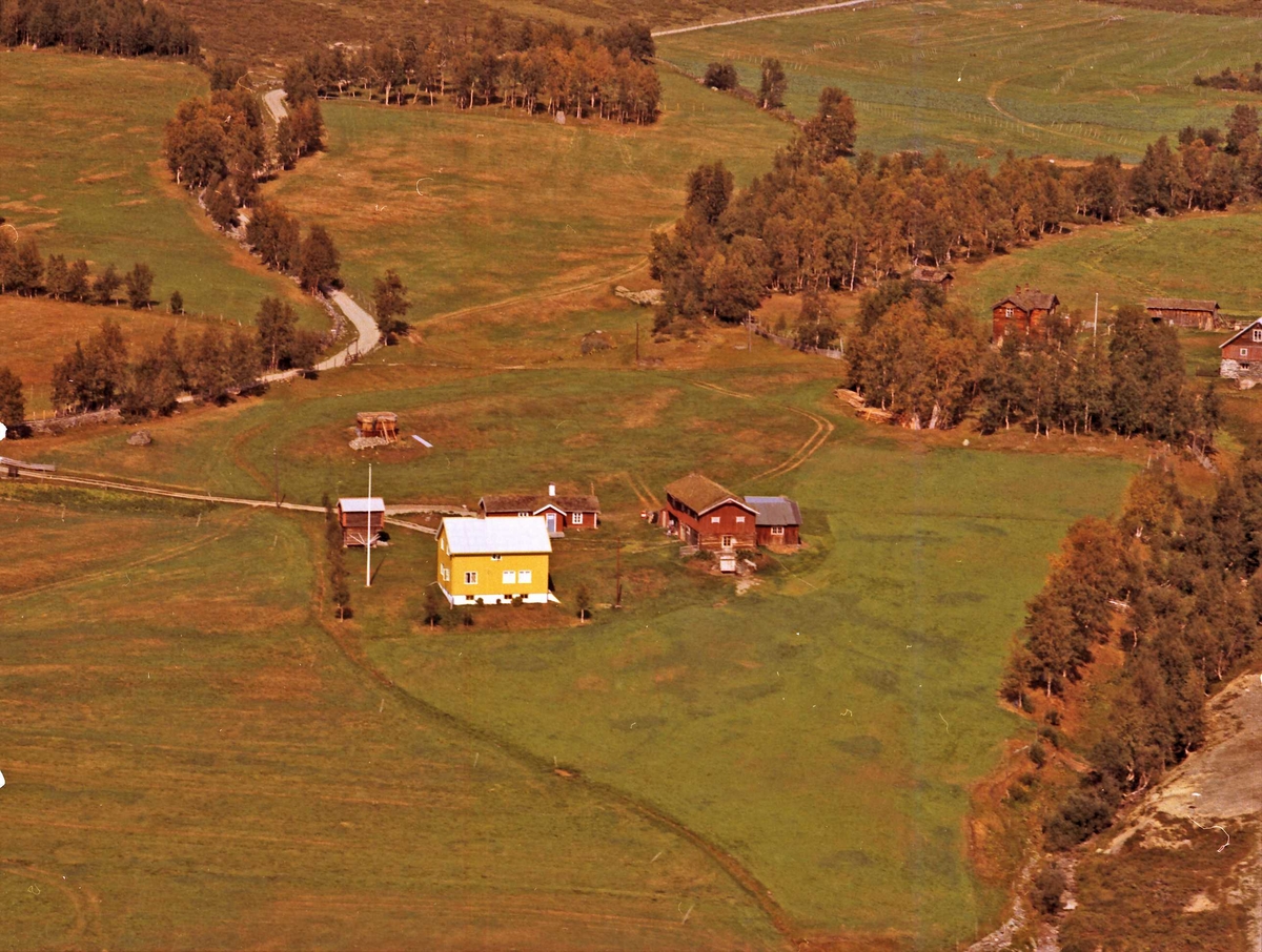 Widerøes Flyveselskap A/S, Gårdsbruk.