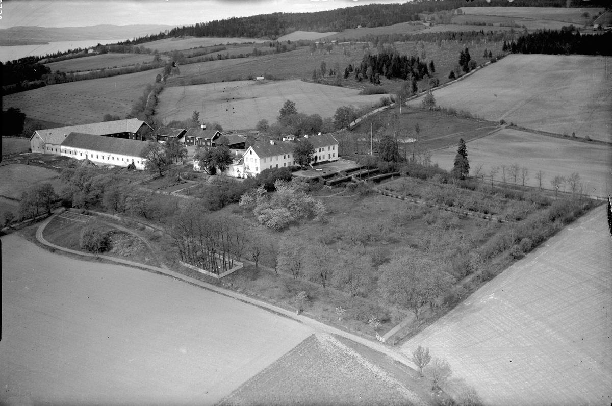 Widerøes Flyveselskap A/S, Flyfoto, Hovinsholm, Helgøya, hage, dam, inngjerdet privat gravplass i forkant av hagen, driftsbygning, fjøs, hovedbygning, jordbrukslandskap.