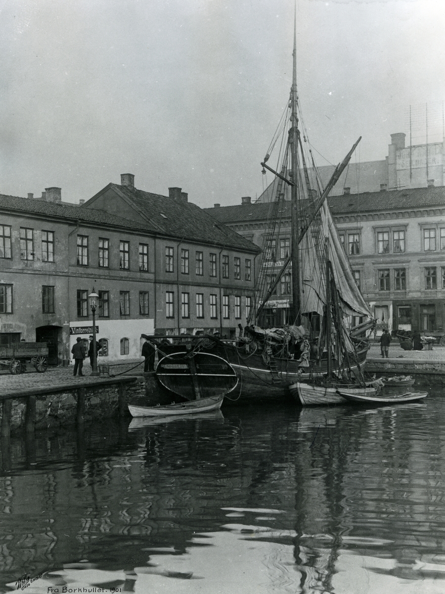Anders Beer Wilse, Fra Borkhullet, 1901.