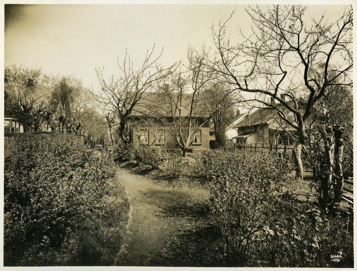 Anders Beer Wilse, Skipsreder Mads Höegh Johnsens hjem og hage i Vinjes gate 4, Oslo.