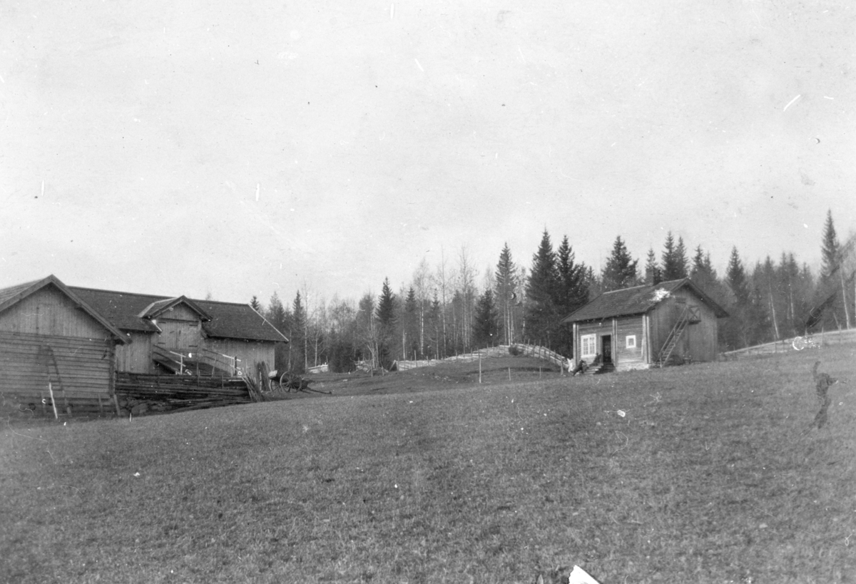 Ukjent, Tomterødegarden (60/10). Nikolai Børresen og Oline Lukasd. Forpaktet Tomterødegården fra ca 1910. Bilde fra ca 1917