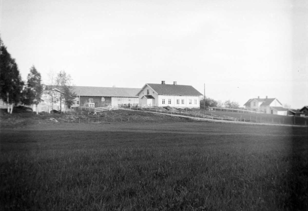 Ukjent, Nedre Tomter (60/2). Ca 1940. Hovedbygningen.