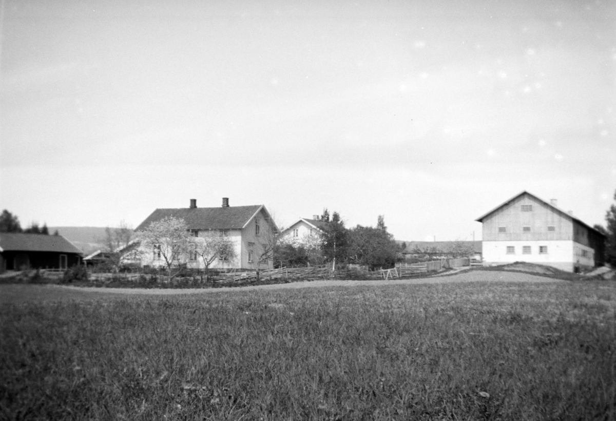 Ukjent, Nedre Tomter (60/2). Ca 1940. Føderådsbygningen og låven med fjøs.
