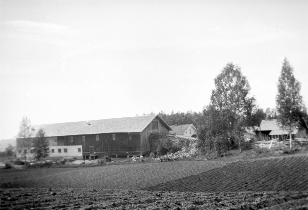 Ukjent, Nedre Tomter (60/2). Ca 1940. Låve og fjøs.