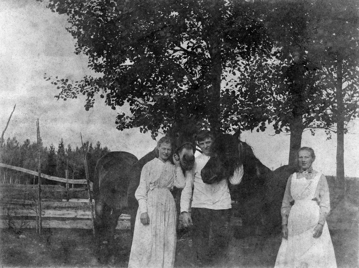 Anno Domkirkeodden, F.v. Lina Kirkeby f. Kristiansen 1901, Kristen Skogen f. Kristiansen 1899 og hans kone Olga f. 1896. Bildet tatt i Skogen. (Lina til Hanslia, Kristen og Olga til Tønseth søndre)