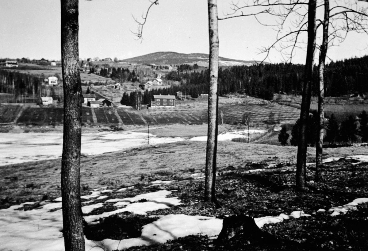 Anno Domkirkeodden, Jessnes, Mælumsvika, bebyggelse. Viken midt i bildet. Furnes. Landskap.