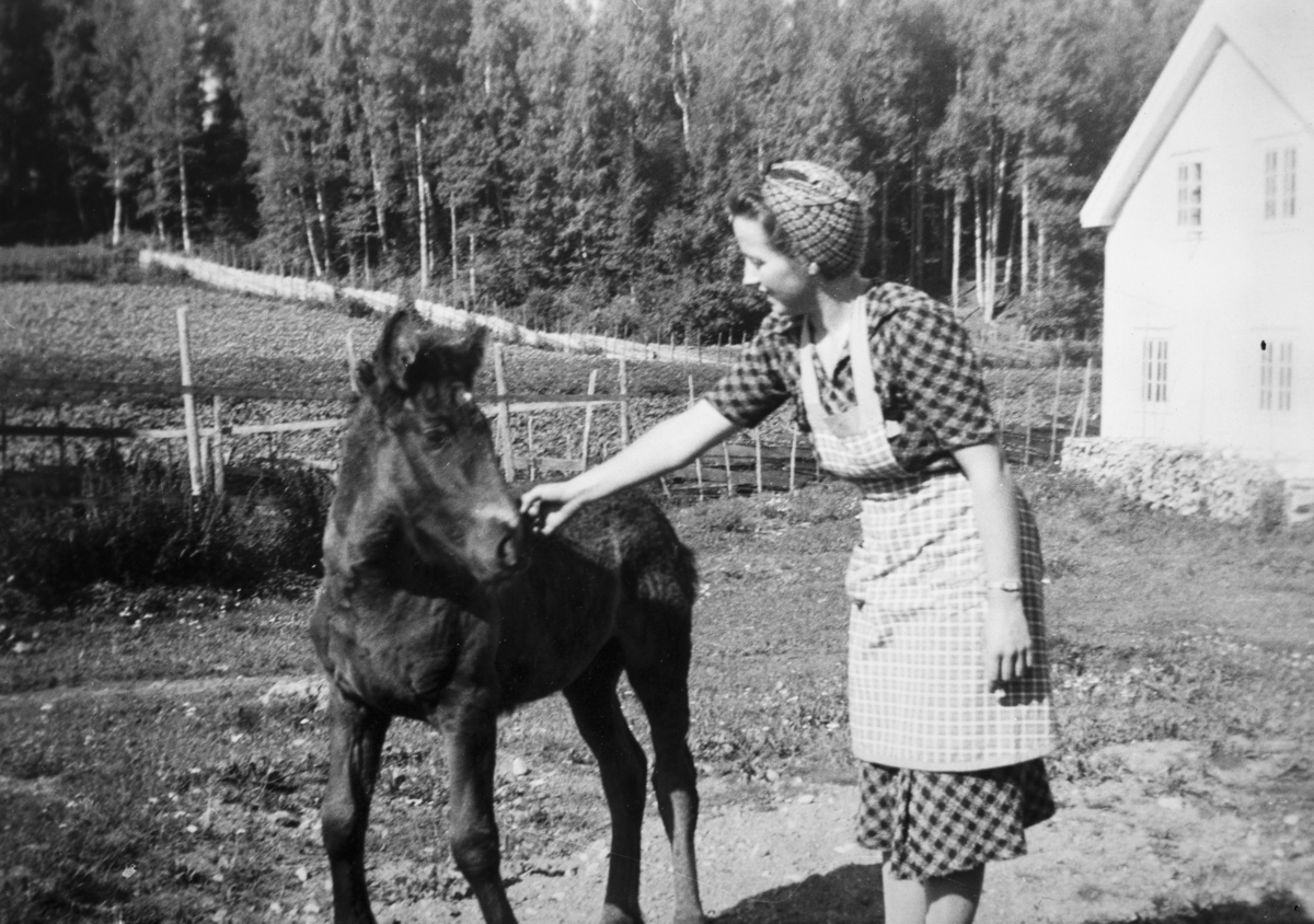 Ukjent, Johanne Opsahl f. 20.05.1914, d. 31.01.1989, hest, føll. Ca. 1940. 79-1. Opsahl store, Vang H.