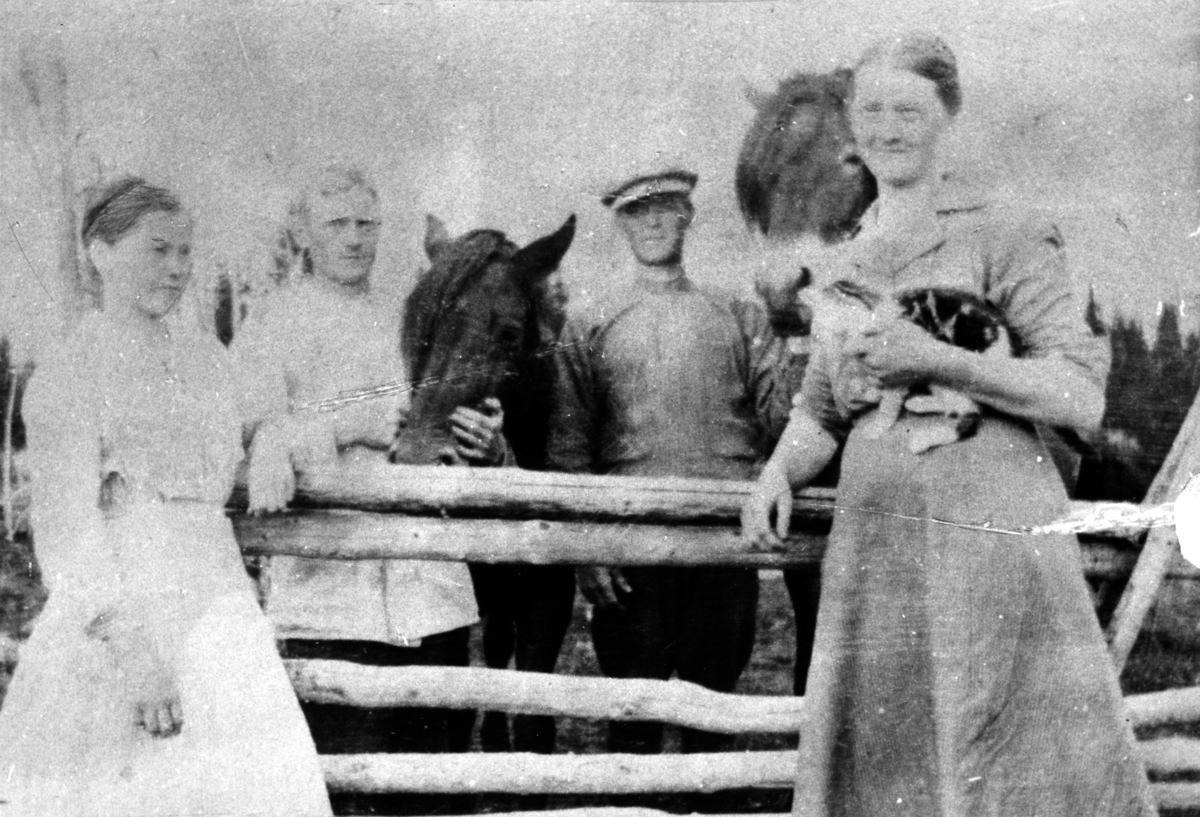 Ukjent, Nybu Sæter, Vang H. F.v Karen Tømte, Bernhard Tømte, Jens Tømte, Pernille Tømte, g. Saugestad.