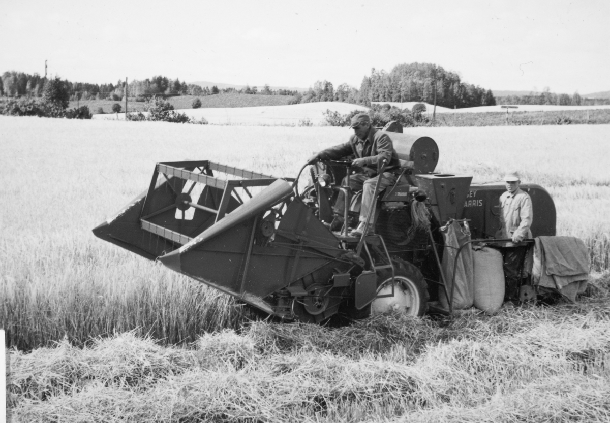 Ukjent, Opsahl, store, 79-1,Vang H. Skuronn, skurtresker, Massey Harris, f.v. Syver Opsahl f. 1915 og sønnen Gudbrand Opsahl f. 1944.