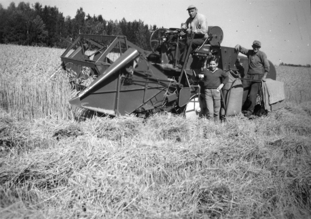 Ukjent, Opsahl, store, 79-1,Vang H. Skuronn, skurtresker, Syver Opsahl f.1915, sønn Lars Opsahl f.1946 og Johs. Opsahl, Ca. 1955.