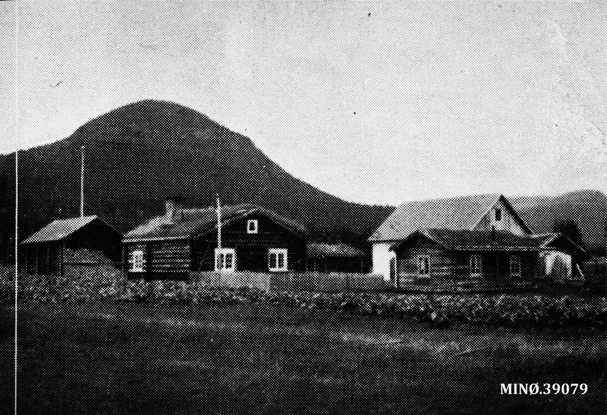 Ukjent, Garden Stortrøa