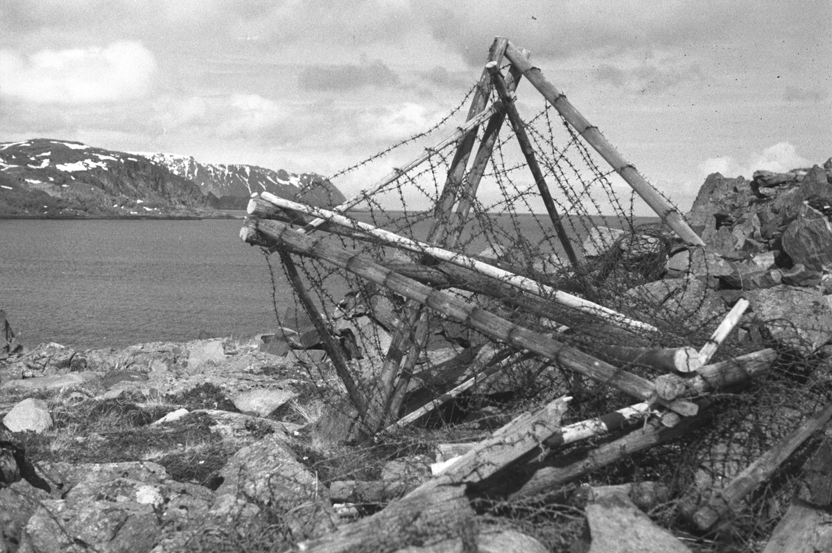 Ola Hanche-Olsen, NO.F003938