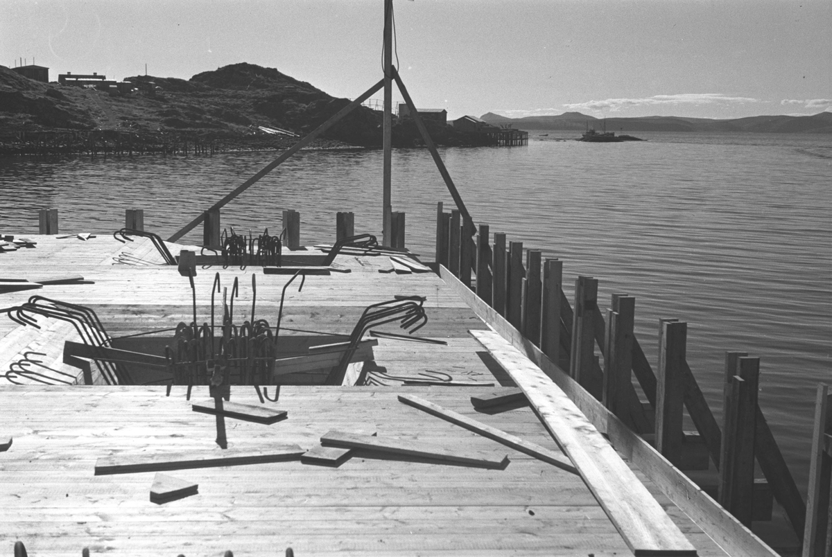 Ola Hanche-Olsen, NO.F003986