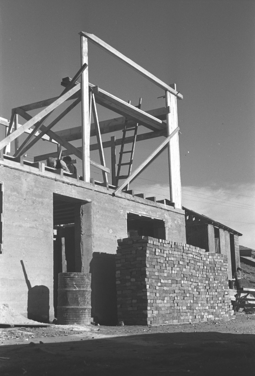 Ola Hanche-Olsen, NO.F004017