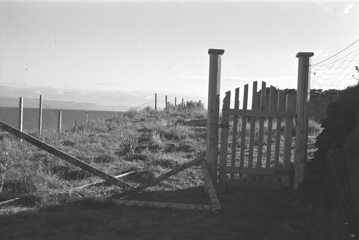 Ola Hanche-Olsen, NO.F004020