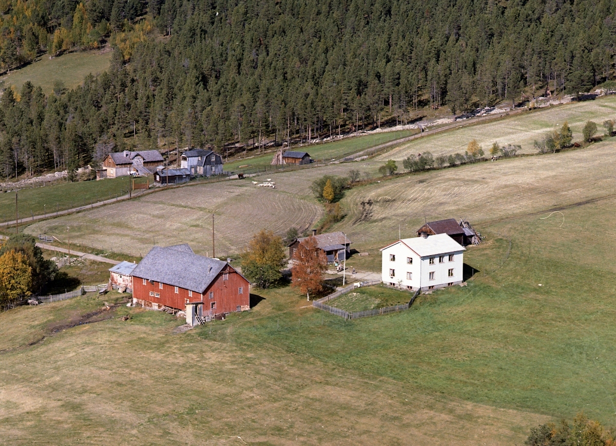 Widerøes Flyveselskap A/S, Flyfoto