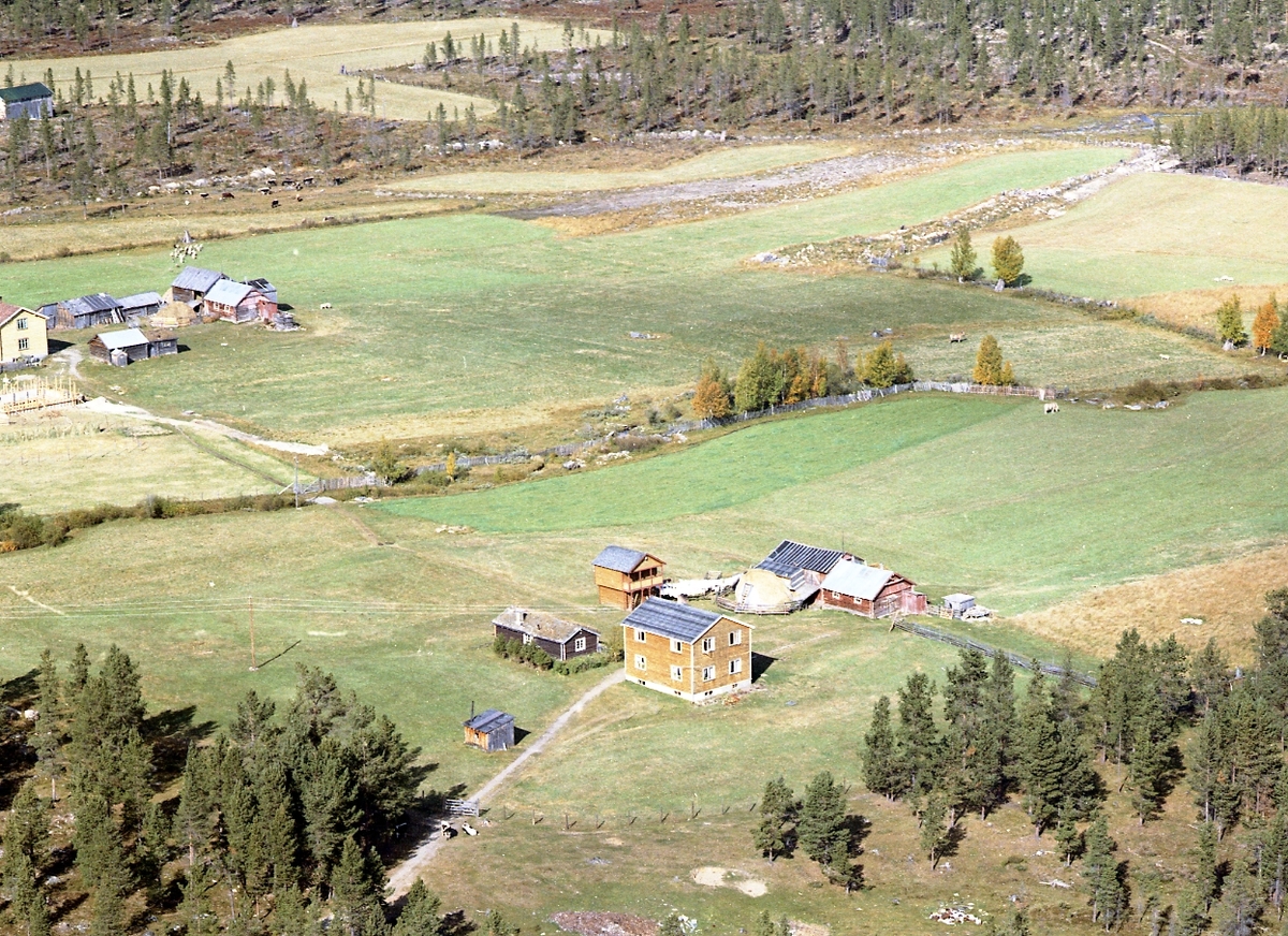 Widerøes Flyveselskap A/S, Flyfoto