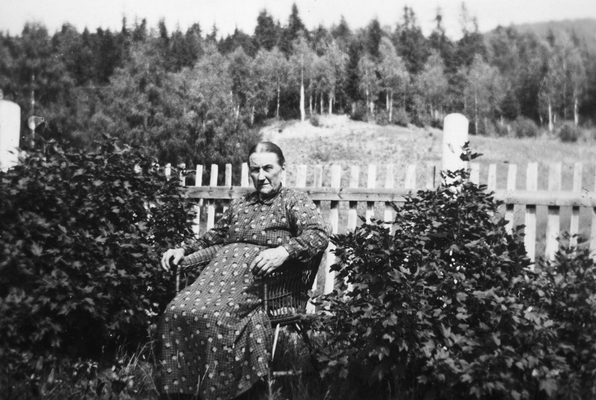 Ukjent, Marie Johannesdatter, Mengshoel, Nes Hedmark.