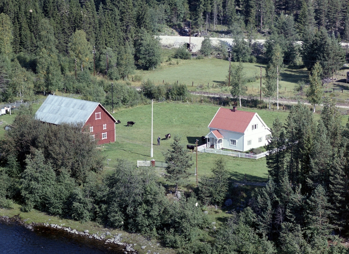 Widerøes Flyveselskap A/S, Gardsbruk Hanestad