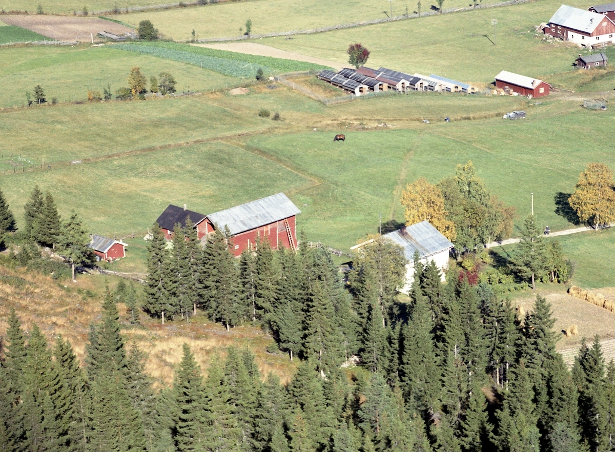 Widerøes Flyveselskap A/S, Gardsbruk, pelsdyrfarm
