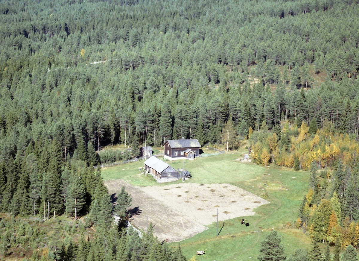 Widerøes Flyveselskap A/S, Gardsbruk