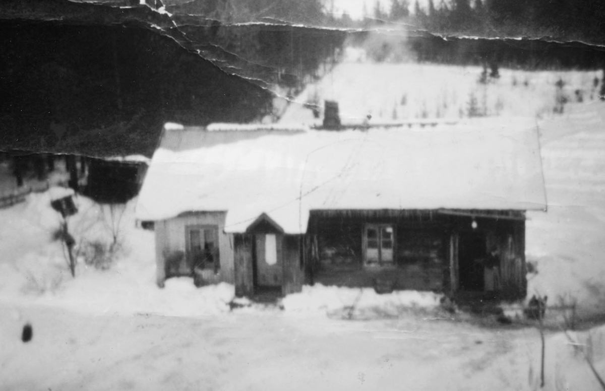 Ukjent, Råholt Gnr. 222, bnr. 2, Ringsaker.