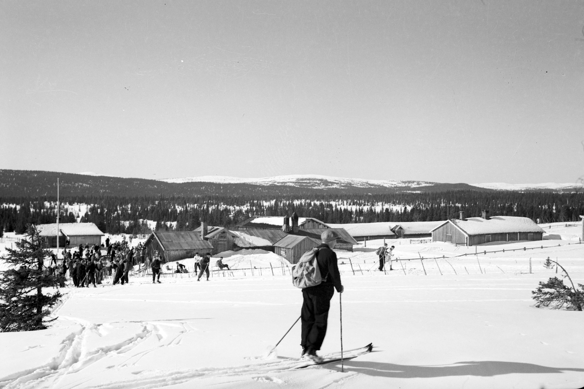 Håkon Prestkværn, HHB-14646