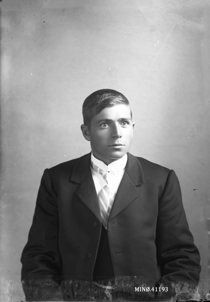 Oscar Holte, Portrett av ung mann