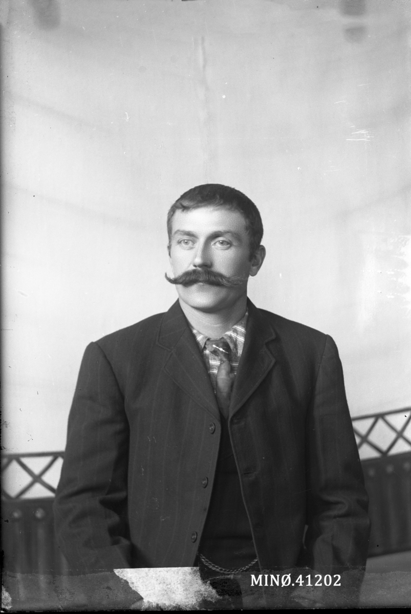 Oscar Holte, Portrett av mann med flott bart