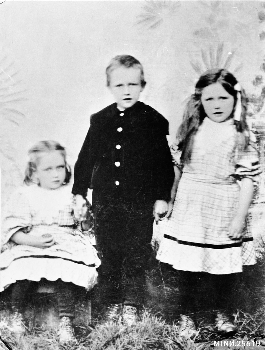 Henrik Augustinsson Stinessen, Barn, søskenflokk. Ester Hektoen, f. 1905, Erling Semmingsen f. 1902 og Hjørdis Telneset f. 1903