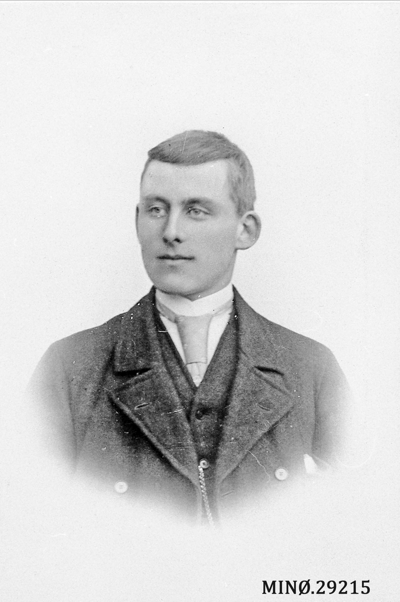 Henrik Augustinsson Stinessen, Portrett av mann. Antagelig Jo Hov, Ålen