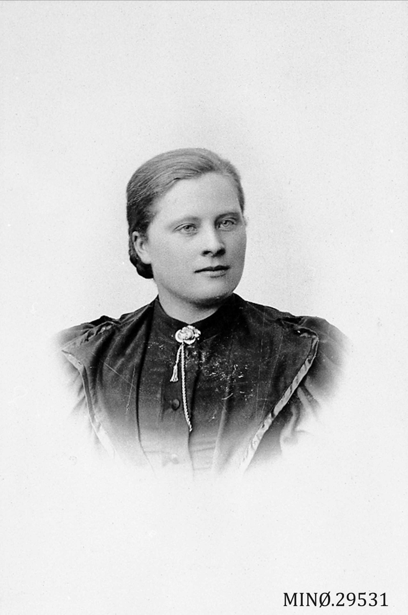 Henrik Augustinsson Stinessen, Portrett av kvinne