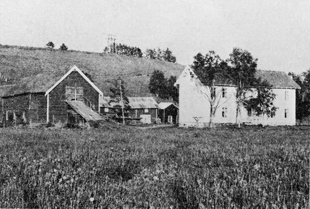 Henrik Augustinsson Stinessen, Gårdsbruk.