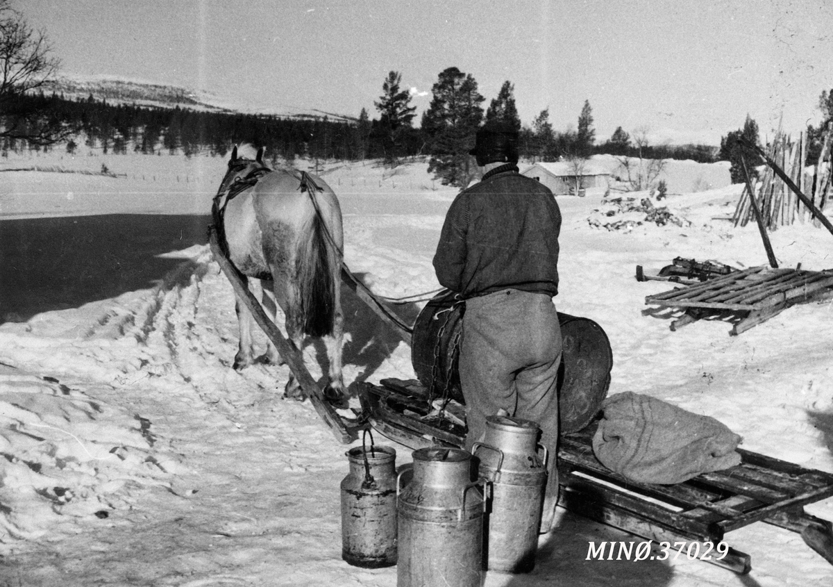 Ukjent, Vasskjøring med hest,