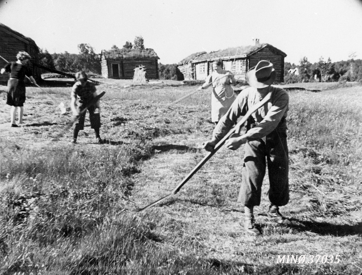Ukjent, Slåttonn i Søre Holden (Yttergarden) ca. 1942.