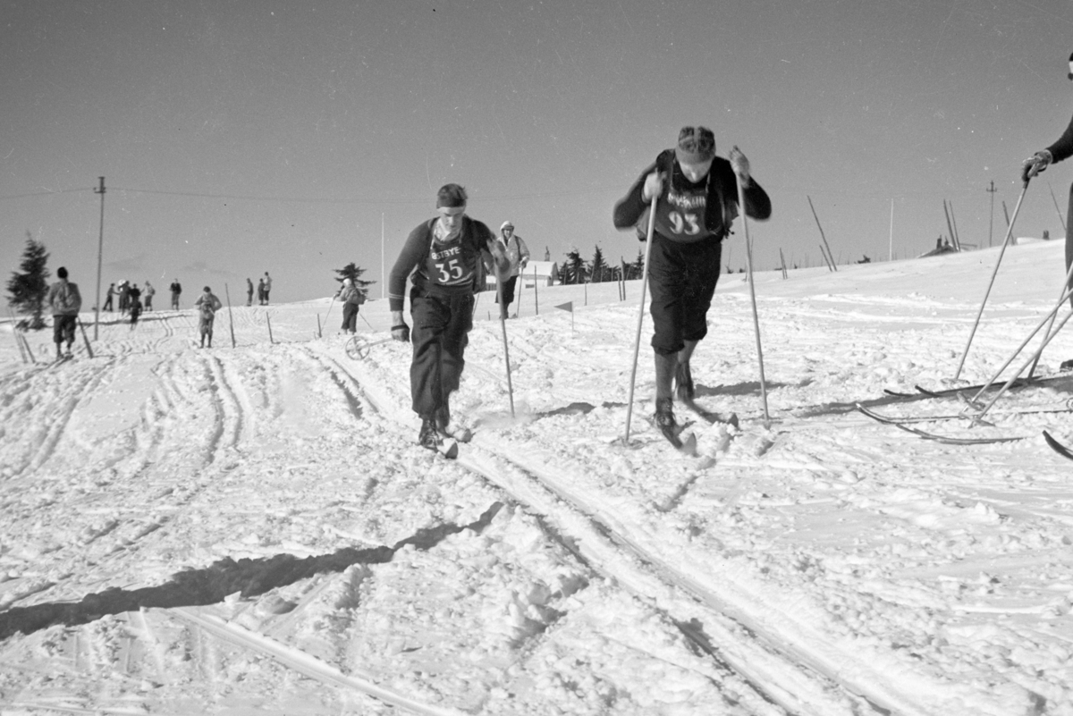 Johs. (Johannes) Johannessen, Skirenn, Birkebeinerrennet (?), langrennsløpere, vintersport.