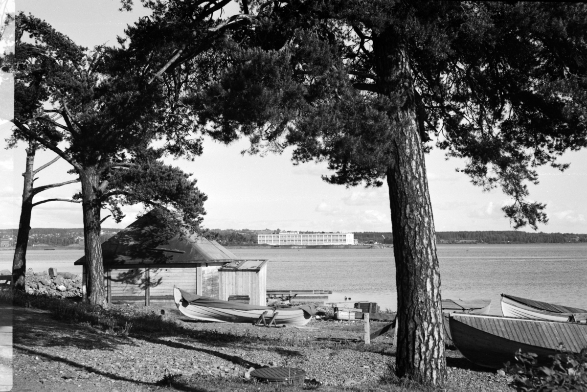 Johs. (Johannes) Johannessen, Høiensalodden, robåter, Mjøsa, O.Kirkebye & sønner