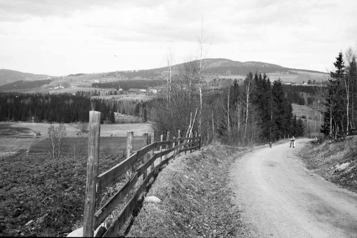 Johs. (Johannes) Johannessen, Parti langs Jessnesvegen ved Jevanord nordre, landskap Furnes.